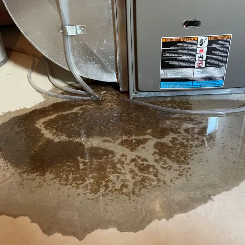 Pipe Burst and Leak Restoration in Emmitsburg, MD