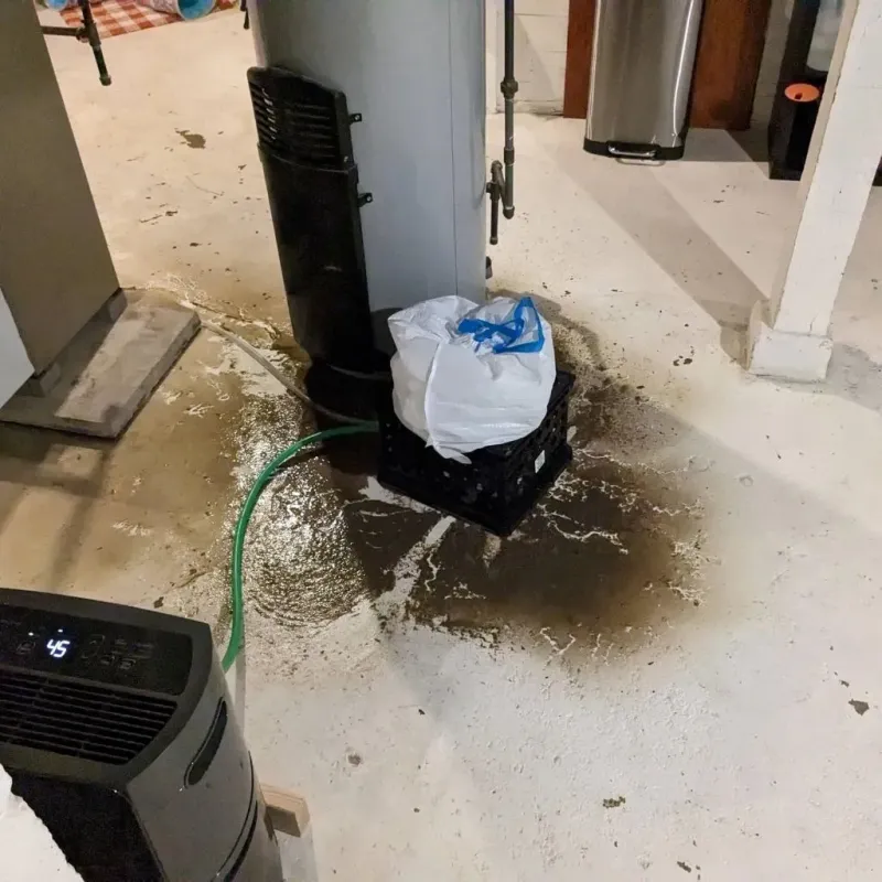 Sewage Backup Cleanup Service in Emmitsburg, MD